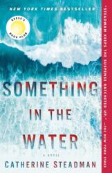 Something in the Water (ISBN: 9781524797676)