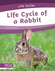 Life Cycle of a Rabbit (ISBN: 9781644938775)