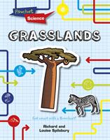 Grasslands (ISBN: 9781398200807)