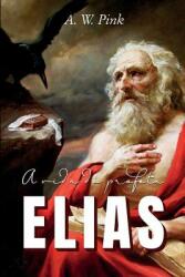 A Vida Do Profeta Elias (ISBN: 9781799036289)