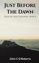 Just Before the Dawn (ISBN: 9781398485396)