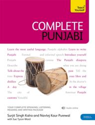 Complete Punjabi Beginner to Intermediate Course (ISBN: 9781444106855)