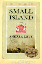 SMALL ISLAND - Andrea Levy (ISBN: 9780312429522)