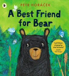 A Best Friend for Bear (ISBN: 9781529512557)