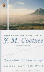 Scenes from Provincial Life - J M Coetzee (ISBN: 9780142422557)