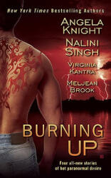 Burning Up - Angela Knight (ISBN: 9780425235959)