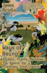 Ways of Being: Animals, Plants, Machines: The Search for a Planetary Intelligence - BRIDLE JAMES (ISBN: 9781250872968)