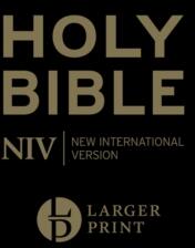 NIV Larger Print Personal Black Leather Bible (ISBN: 9781399807685)