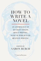 How to Write a Novel: An Anthology of 20 Craft Essays About Writing, None of Which Ever Mention Writing (ISBN: 9781957392257)