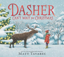 Dasher Can't Wait for Christmas - Matt Tavares (ISBN: 9781536230130)