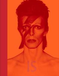 David Bowie Is - Victoria Broackes (2013)