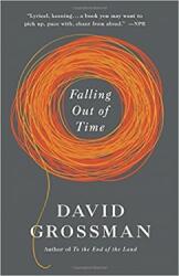 Falling Out of Time (2014)
