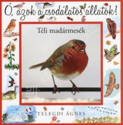 Téli madármesék (2013)