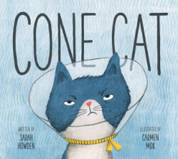 Cone Cat - Carmen Mok (ISBN: 9781771473613)