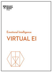 Virtual Ei (ISBN: 9781647823290)