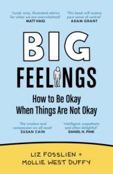 Big Feelings (ISBN: 9781838858537)