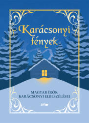Karácsonyi fények (2023)