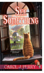 See Something (ISBN: 9781496731418)