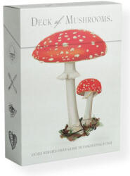 Deck of Mushrooms - SMITH STREET (ISBN: 9781922754332)