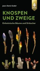 Knospen und Zweige (2020)