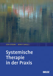 Systemische Therapie in der Praxis - Kirsten von Sydow, Ulrike Borst (ISBN: 9783621285278)