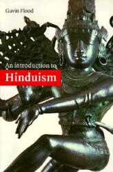 Introduction to Hinduism - Gavin Flood (ISBN: 9780521438780)
