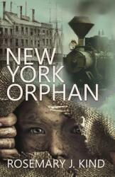 New York Orphan (ISBN: 9781909894358)