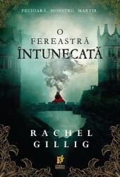 O fereastra intunecata - Rachel Gillig (ISBN: 9786306525324)