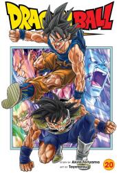 Dragon Ball Super, Vol. 20 - Akira Toriyama, Toyotarou (2024)
