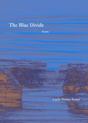 The Blue Divide: Poems (ISBN: 9781936970728)