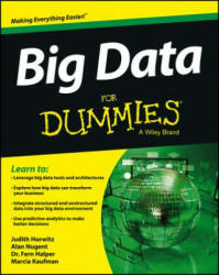 Big Data For Dummies - Judith Hurwitz (2013)