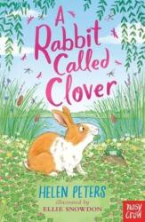 A Rabbit Called Clover (ISBN: 9781839941986)