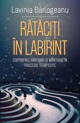 Rătăciți în Labirint (ISBN: 9786306550470)
