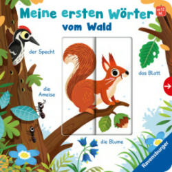 Meine ersten Wörter vom Wald - Sprechen lernen mit großen Schiebern und Sachwissen für Kinder ab 12 Monaten - Matthew Scott (ISBN: 9783473417711)