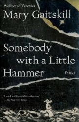 Somebody with a Little Hammer - Mary Gaitskill (ISBN: 9780307472335)
