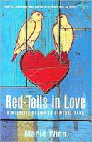 Red-tails in Love - A Wildlife Drama in Central Park (ISBN: 9780747542032)