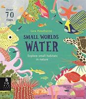 Small Worlds: Water (ISBN: 9781787415621)