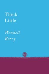 Think Little (ISBN: 9781640091733)