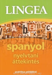 Spanyol Nyelvtani Áttekintés (2013)