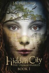 Hidden City (ISBN: 9781736989135)