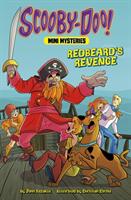 Redbeard's Revenge (ISBN: 9781398225961)