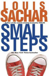 Small Steps - Louis Sachar (ISBN: 9780385733151)