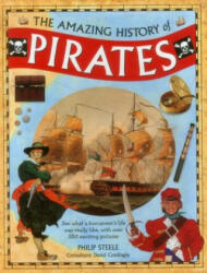 Amazing History of Pirates - David Cordingly (ISBN: 9781861477118)