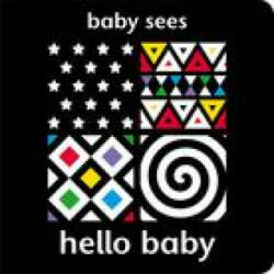 Baby Sees: Hello Baby - Adam Wilde (ISBN: 9781912646159)