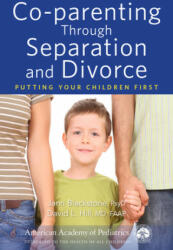 Co-parenting Through Separation and Divorce - David Hill (ISBN: 9781610023801)