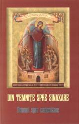 Din temnite spre sinaxare - Danion Vasile (ISBN: 9786069678329)