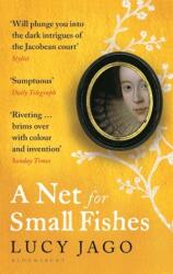 A Net for Small Fishes (ISBN: 9781526616654)