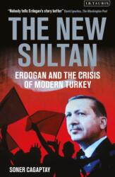 The New Sultan (ISBN: 9781350350267)