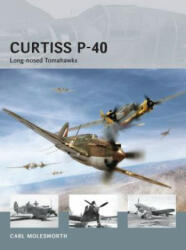 Curtiss P-40 - Carl Molesworth (2013)