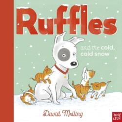 Ruffles and the Cold, Cold Snow - David Melling (ISBN: 9781839947681)